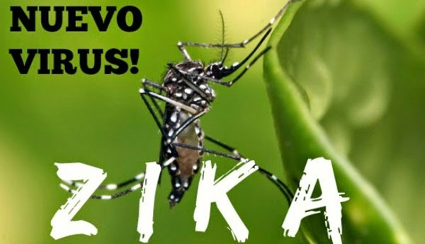 ZIKA ..! Don’t Get Pregnant Begging 25 Countries From Their Women