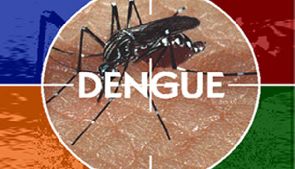Possibility of Dengue Spreading…..