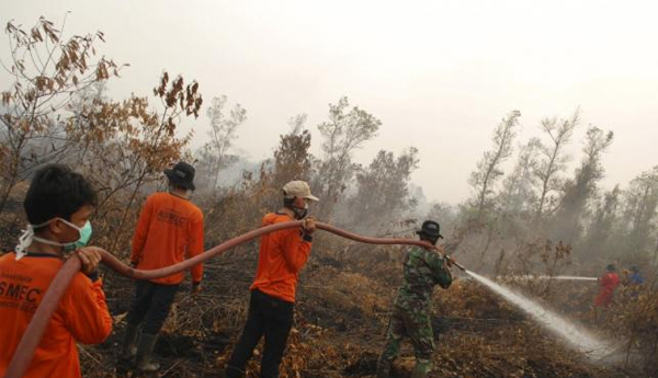 Forest Fire In Indonesia