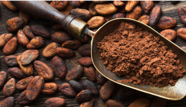 Ridiculously Good Reasons to Eat Cacao