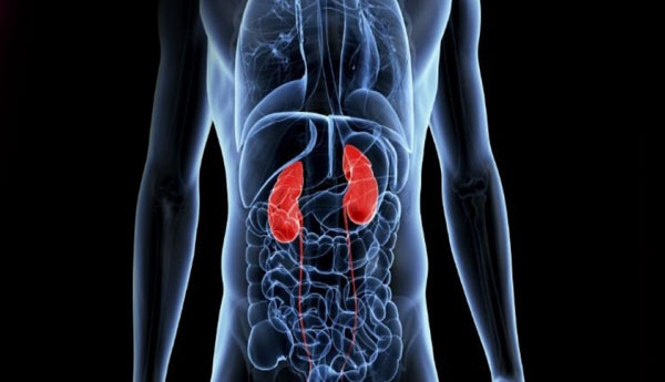 Kidney Disease Root Cause in Srilanka is Still Mysterious