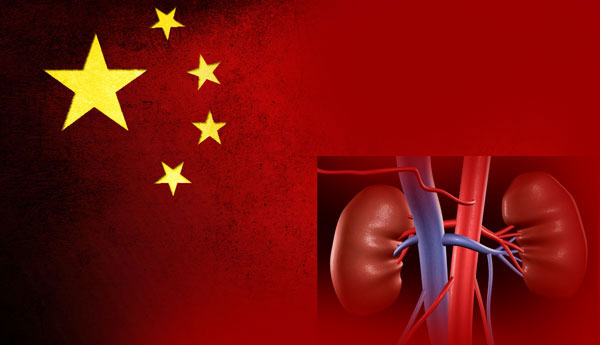 China Grants 13,800 Million to Sri Lanka for a Kidney Hospital