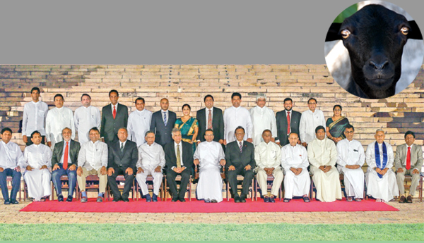 A black Sheep in the Srilanka Cabinet