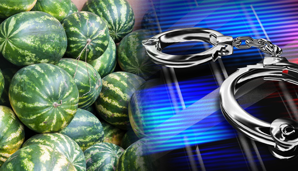 Watermelon Pave Way for Arrest  