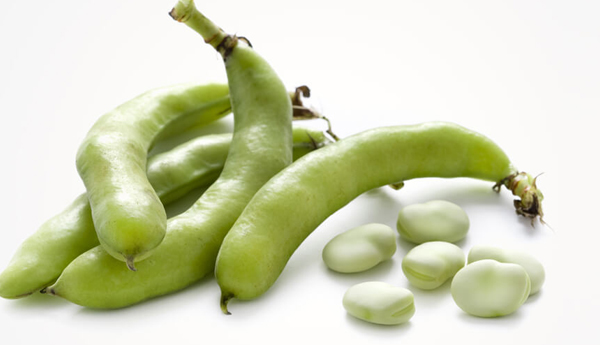 10 Amazing Health Benefits And Nutritional Value Of Fava Beans