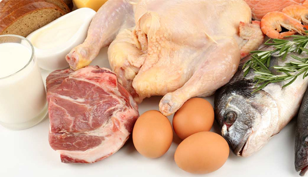 5 Amazing Benefits Of High Protein Low Carb Diet