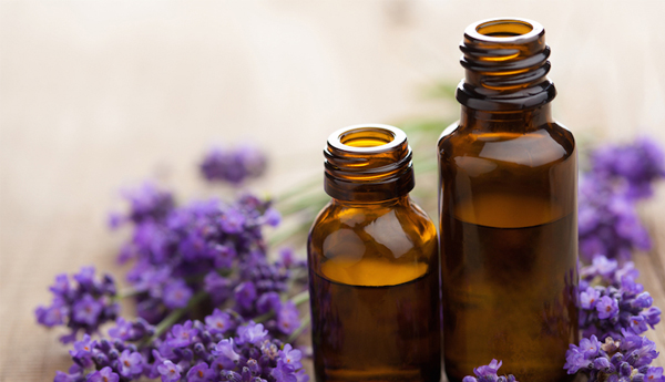 Dr Z’s Essential Oil Tips For Treating Leaky Gut