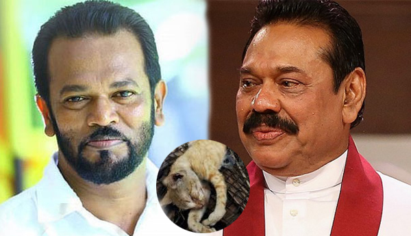 Cat Meat Served in Prison During Mahinda’s Regime