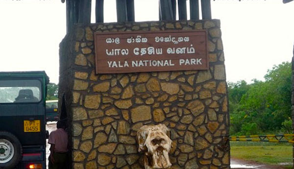 Park Rangers & guides suspended over Yala animal cruelty incident