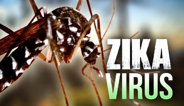 New Vaccines to Counter Zika