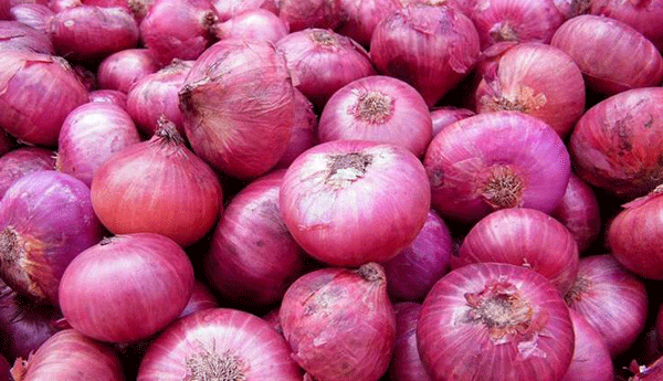 New Local Big Onion Price Increase Due to 100% Tax
