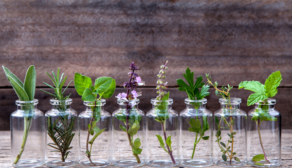 These 10 Common Herbs Are More Powerful Than You Think
