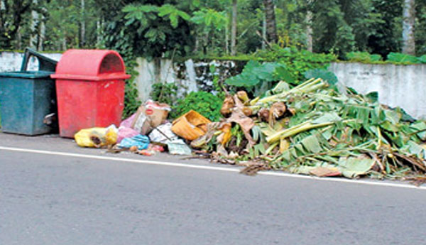 Classified Garbage Collection Program Begins Tomorrow