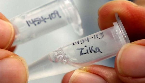 WHO Warns Zika ‘highly Likely’ to Spread Throughout Asia-Pacific Region
