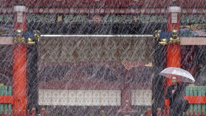 Tokyo Hit by First November Snow in 54 Years 