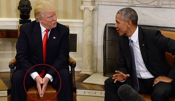 Patti Wood Analyzed Obama and Trump’s Body Language at the White House Meeting Patti Wood Analyzed Obama and Trump’s Body Language at the White House Meeting