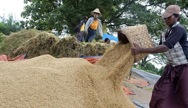 Limiting  Paddy  Issue to Large Scale Rice Mill Owners to Prevent Artificial Shortage
