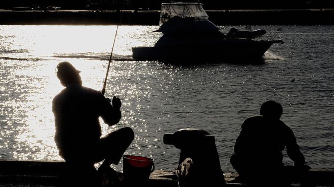 Marlin Drags Fisherman Into Remote Waters off Australia
