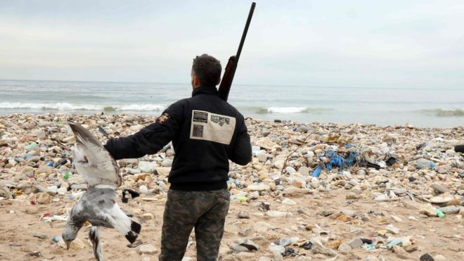 Beirut Rubbish Dump Birds Shot by Hunters Near Airport