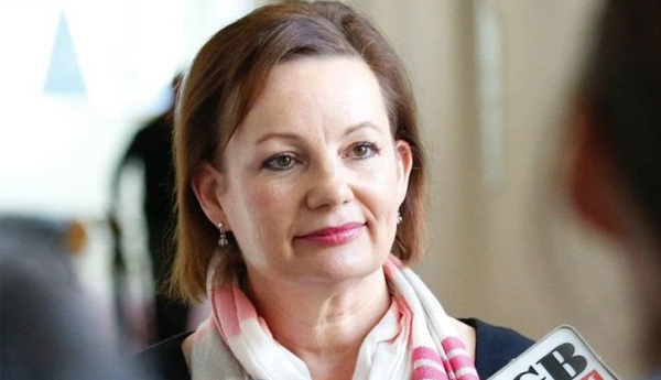 Australian Minister Sussan Ley Stands Aside Over Expenses Scandal