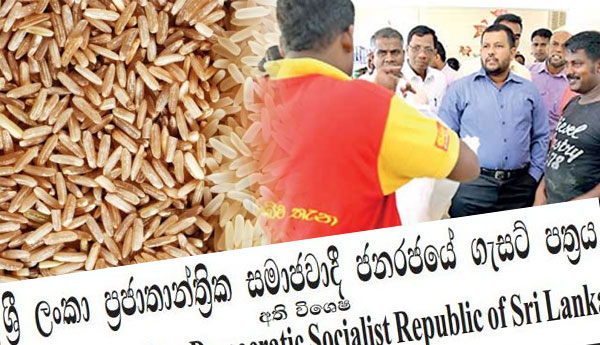 Maximum Retail Prices of Rice Gazetted