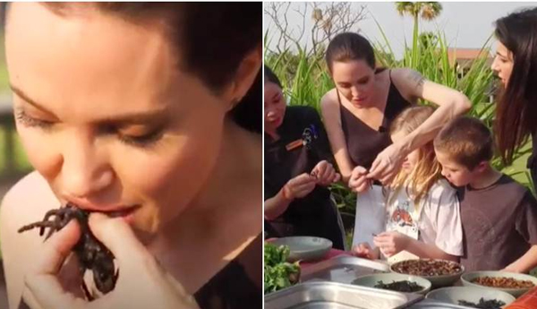 Angelina Jolie eats tarantulas on TV with children. We dare you to watch this video Angelina Jolie eats tarantulas on TV with children. We dare you to watch this video