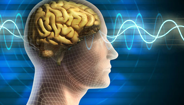 Brain Fever  in Ratnapura – Doctors Warns