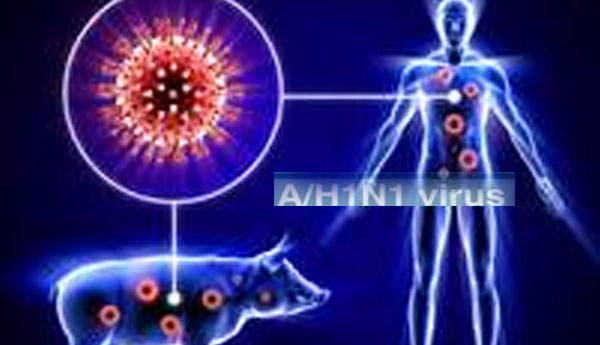In Matale & Kandy AH1N1 Virus  Caused  15 Deaths