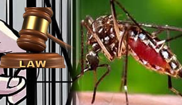 Fines & Prison Sentence Under Dengue Declaration
