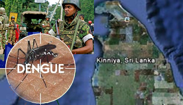 Activated Dengue Eradication in Trincomalee