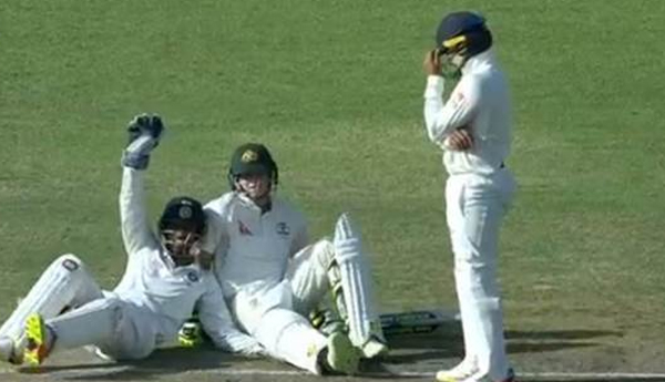 India vs Australia: Wriddhiman Saha Tries to Catch Steve Smith off-guard, Players Burst into Laughter