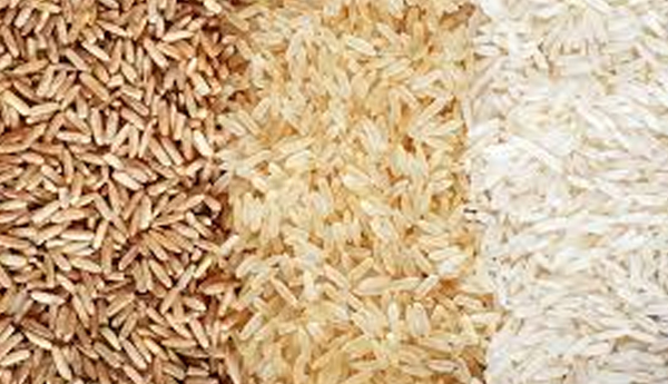 Cabinet Approved Monthly Importation of 20,000MT of Rice