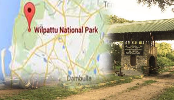 All Forest Reserves in Northern Part of Wilpattu Declared as a Single Forest Reserve.