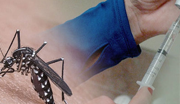 Dengue Fever Vaccine Under Examination