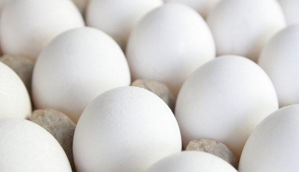 Egg Protein Chart – How Many Proteins Does Egg Contain?