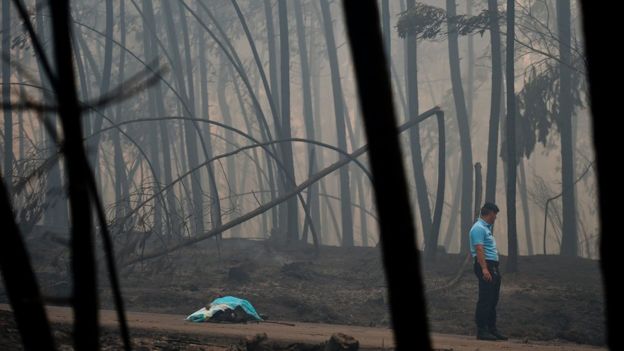Portugal forest fires kill 62 near Coimbra