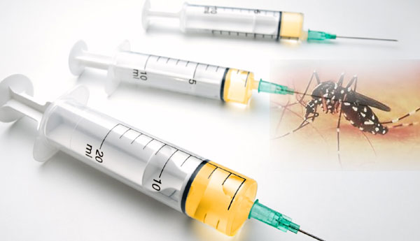 Japanese Vaccinations to Eradicate Dengue in  Srilanka