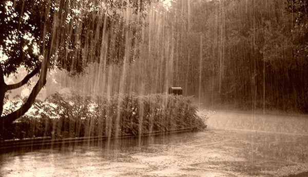 Showers expected in several provinces