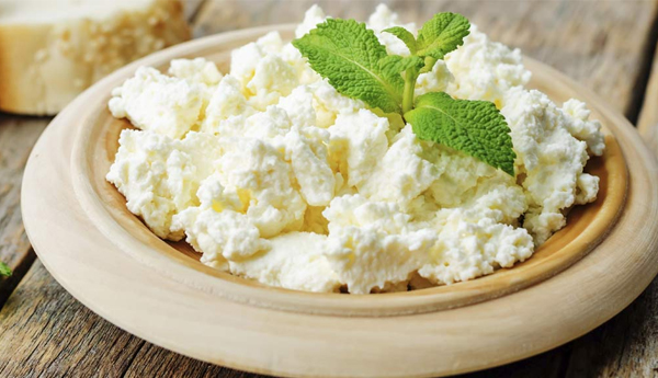 8 Marvelous Benefits Of Cottage Cheese