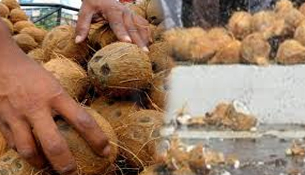 Coconut Breaking Against SAITM?