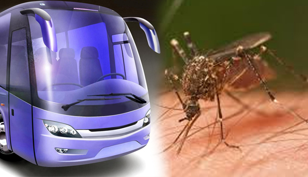 Killer Dengue Mosquitoes Travels in Luxury Buses Plying Between Negombo and Colombo