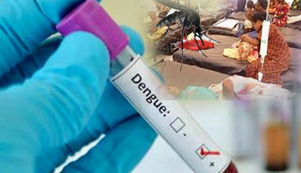 Dengue Deaths in During  Last 6 ½  Months Rose to 2720