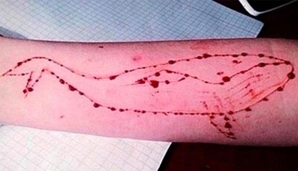 Blue Whale challenge: Kerala boy committed suicide after ‘playing’ fatal game, claims grieving mother