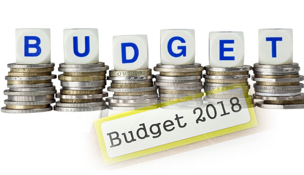Budget 2018 in November in Parliament
