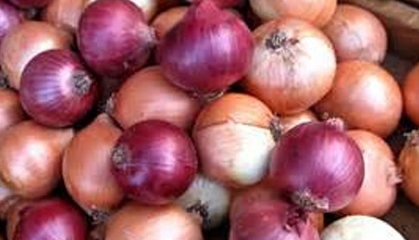 100% Tax on Imported Big Onions