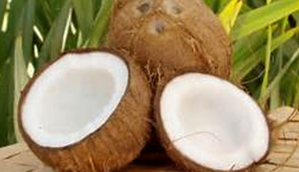 Price Control Mechanism  to Regulate Coconuts Prices