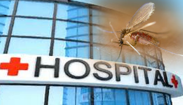 Sand-Fly Attack in Polonnaruwa 84 Patients Admitted to Hospital