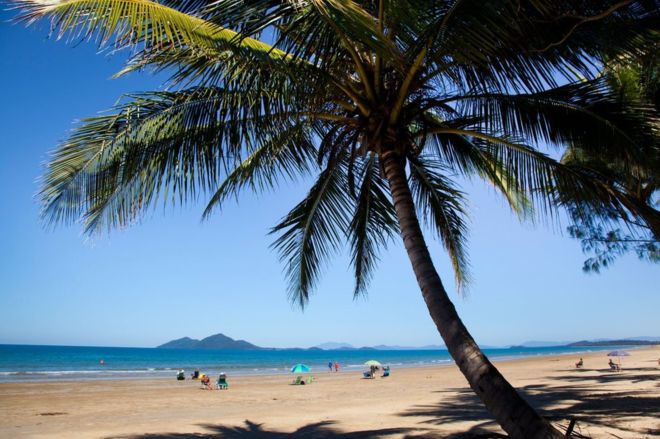 Australia Skydiving: Three Dead After ‘Mid-Air Collision’