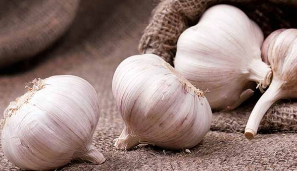 10 Amazing Health Benefits Of Garlic Salt