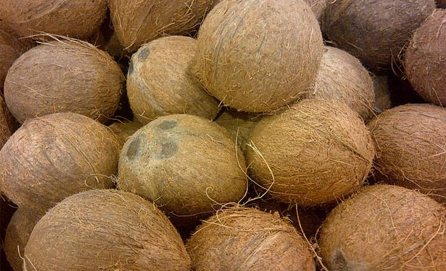 Legal Action against those selling coconut beyond fixed maximum retail price of Rs75/=
